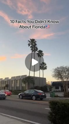 cars driving down the road with palm trees in the background and text that reads 10 fact you didn't know about florida