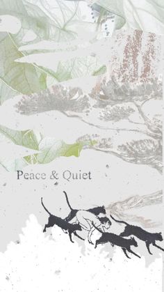 the cover to peace and quiet, with an image of two cats chasing each other