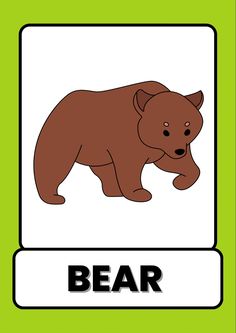 animals flash card, animals flash cards, farm animals flash card, animals flash cards pdf, wild animals flashcards, zoo animal flashcards, animals flashcards pdf, animals flashcards printable, animals flashcards free printable, flashcards of animals, flash cards or flashcards Wild Animals Flashcards, Animals Flashcards For Kids, Animal Pictures For Kids, Physical Education Lessons, Dancing Drawings