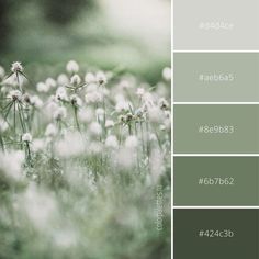 the color scheme is green and gray with white flowers in it, including dandelions