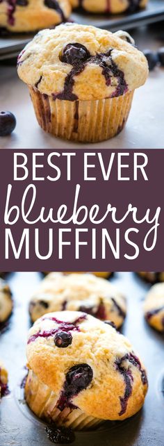 blueberry muffins on a baking sheet with the words best ever blueberry muffins