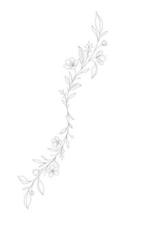 a line drawing of flowers on a white background