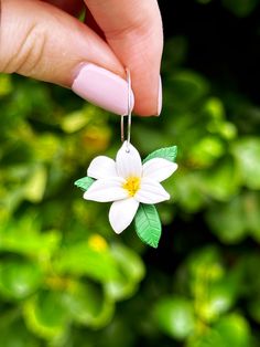 a woman's hand holding a white flower with green leaves