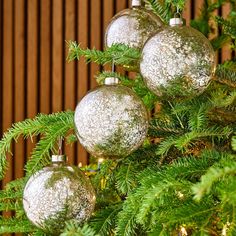 three silver ornaments hanging from a tree with pine needles and green leaves in front of a wooden wall