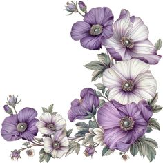 purple and white flowers with green leaves