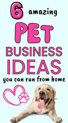 a dog laying down with the words 6 amazing pet business ideas you can run from home