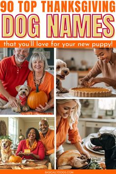 a collage of photos with dogs and pumpkins in the middle, people carving pumpkins