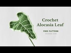 crochet alocasia leaf free pattern