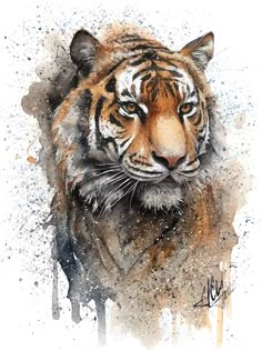 a watercolor painting of a tiger's face