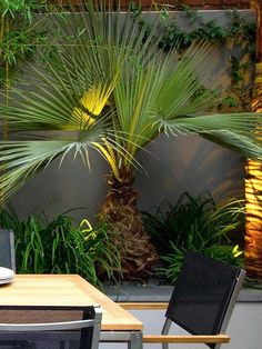 an outdoor dining table with two chairs and a laptop on it, in front of a plant wall