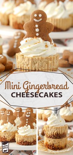 mini gingerbread cheesecakes with white frosting on top and cookies in the background