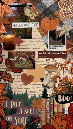 an altered collage with autumn leaves, pumpkins and other things in the background