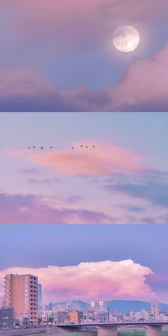 the sky is pink and blue with birds flying in it