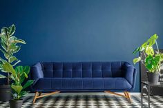 a living room with blue walls and black and white checkered flooring, two potted plants on either side of the couch