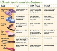 basic tools and techniques for how to use them in the bathroom, including hairbrushes