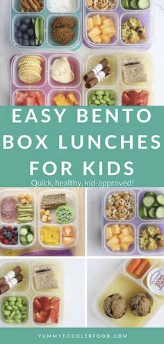 easy bento box lunches for kids