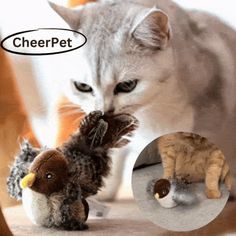 an image of a cat playing with stuffed animals