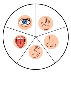 four different facial expressions arranged in a circle with one hand and the other eye open