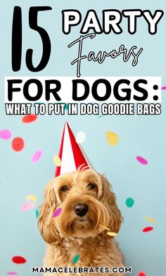 a dog wearing a party hat with the words 15 party favors for dogs what to put in doggie bags