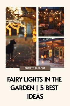 fairy lights in the garden, 5 best ideas