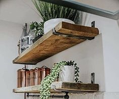 a shelf that has some plants on it