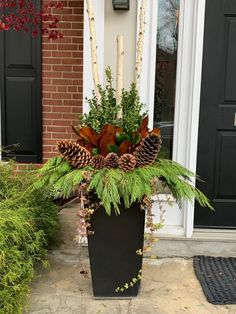 a planter filled with pine cones and greenery sitting on the front step of a house