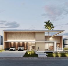 an artist's rendering of a modern house with palm trees in the front yard