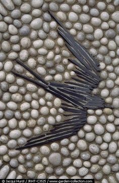 a black bird is laying on some white rocks and pebbles with it's wings spread out