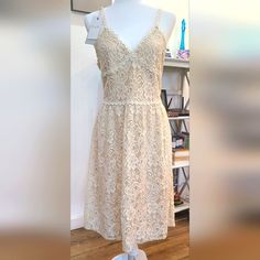 Nwt's- Miss Me -Pretty Crochet Lace Dressy Sundress, Size Xl Fit And Flare - Zip Low Back - Lined 50% Polyester/50% Nylon Lining = 100% Polyester #Weddings, #Partys, #Rodeo, #Western Originally $149 Be Sure To Check Out All Of Our Clothing... Tons Of Jeans.... Womens, Men's, Teens And Much More!! Will Bundle!! Fitted Crochet Sundress With Lace Trim, Spring Crochet Dress With Delicate Lace, Fitted Lace Crochet Sundress, Sleeveless Scalloped Lace Dress For Daywear, Sleeveless Lace Dress With Scalloped Lace For Daywear, Cream Sleeveless Lace Crochet Dress, Lace Crochet Sundress With Lace Trim, Spring Lace Crochet Sundress, Crochet Lace Sundress With Lace Trim