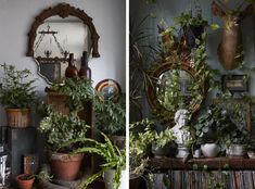 there are two pictures of plants in the room and one is full of potted plants