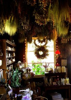 a room filled with lots of plants and decorations hanging from the ceiling next to a window