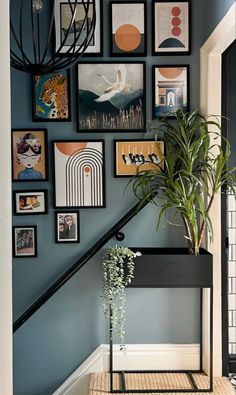 there is a plant and pictures on the wall in this hallway with stairs leading up to it