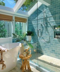 a bath room with a stand up shower next to a tub and a plant in it