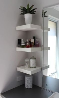 a bathroom with shelves and a plant in the corner