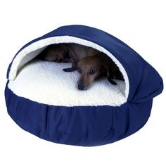 a brown dog laying on top of a blue and white pet bed covered in fleece