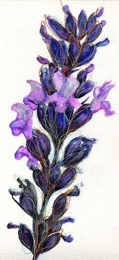 a painting of purple flowers on a white background