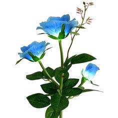 three blue flowers are in a vase on a white background, with green leaves and stems