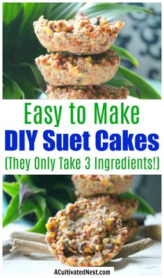 three cakes stacked on top of each other with text overlay saying easy to make diy suet cakes they only take 3 ingredients