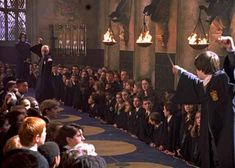 harry potter and the deathly hall audience