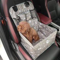 a small dog sitting in a car seat