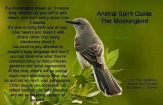 a bird sitting on top of a green leafy tree with the words animal spirit guide