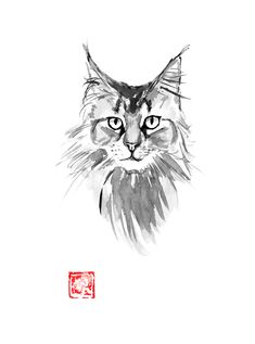 an ink drawing of a cat's face