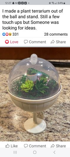 a glass bowl filled with plants sitting on top of a counter next to a tweet