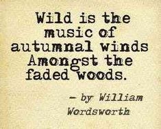 an old book with the words wild is the music of animal winds amongst the faded woods