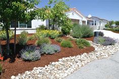 a garden with rocks and flowers in front of a house