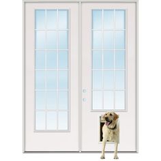 a dog is standing in front of a white door