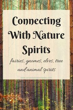 Connecting With Nature, Earth Spirit, Hedge Witch, Nature Spirits, Photography Summer, Fairy Magic, Spells Witchcraft, Nature Tree