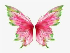 a pink and green butterfly wings on a white background