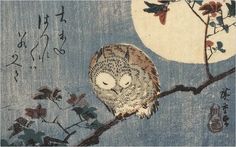 an owl sitting on a branch with the moon in the background