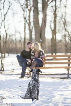 a couple sitting on a bench in the snow with their dog